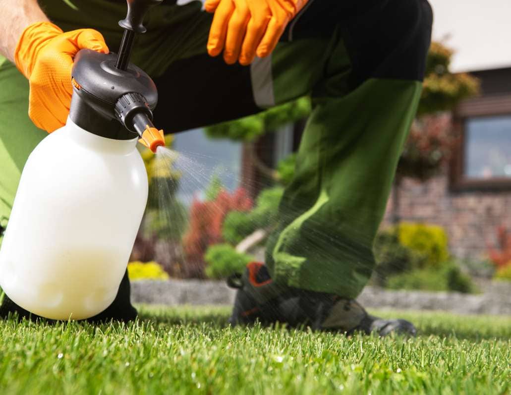 A gloved worker kneeling on a lawn, spraying it with a handheld pump sprayer